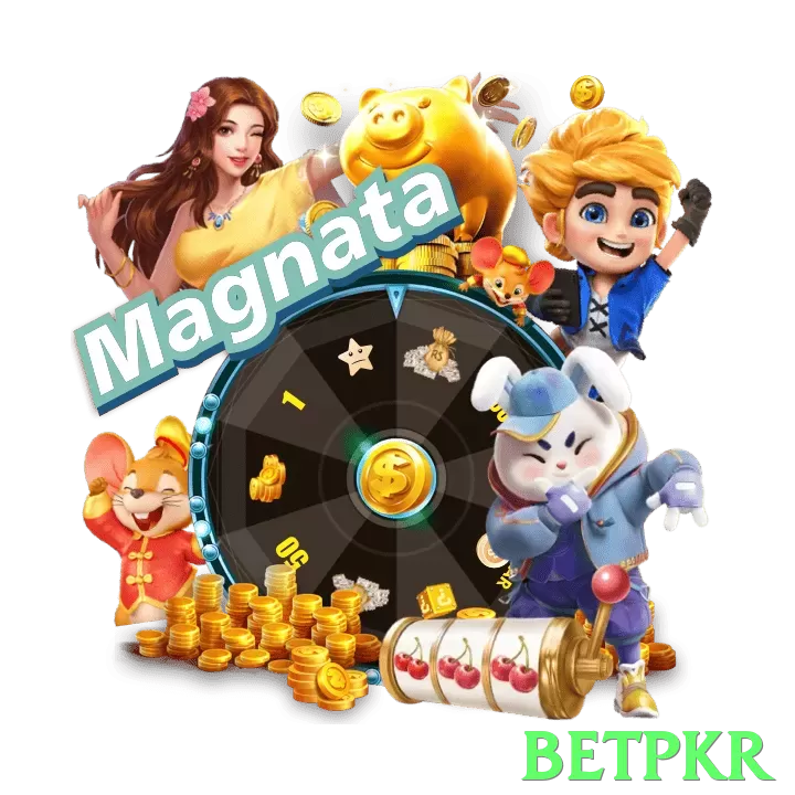 betpkr App - 5